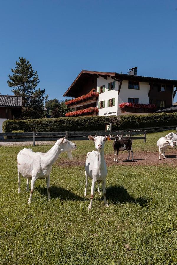 Gaestehaus Bramboeck Bad Haering Bagian luar foto